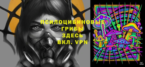 мдпв Заволжье