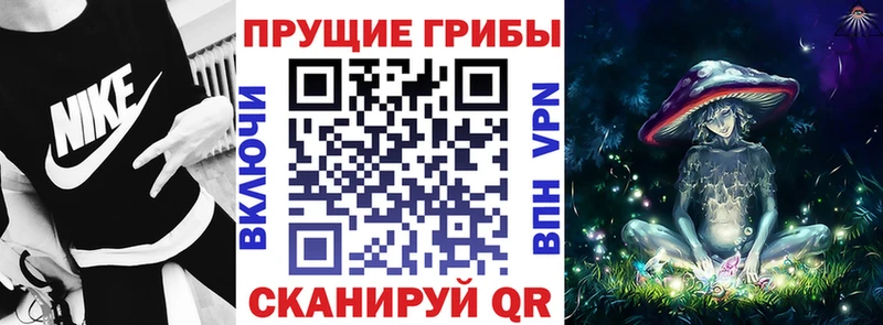 Галлюциногенные грибы мицелий  Иннополис 