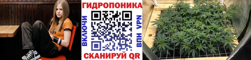 дарк нет состав Иннополис Канабис конопля